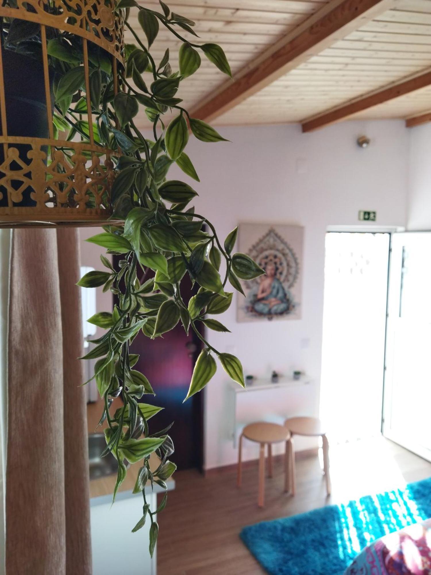 Casa Da Serra Nazaré Kültér fotó